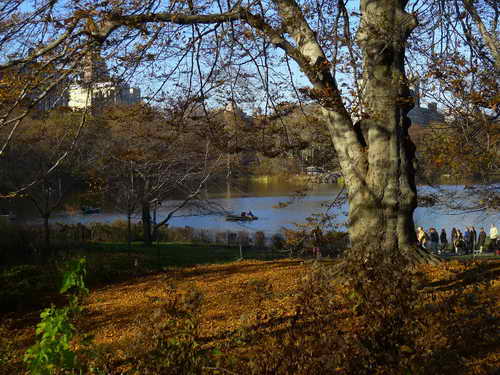 NYC_2012-11-22 14-44-05_P1070569